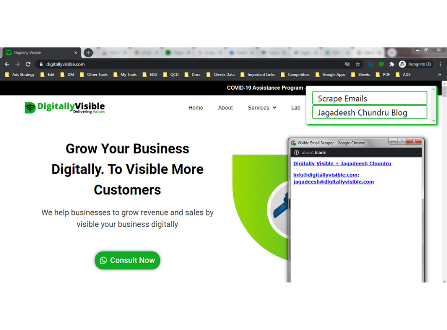 Visible Email Scraper