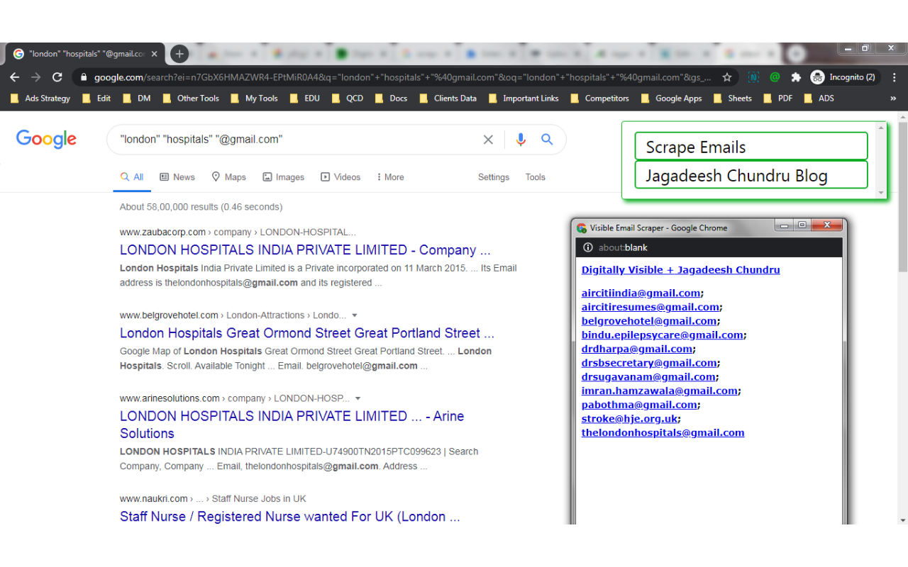 Visible Email Scraper Screenshot 1