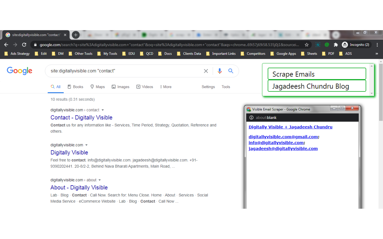Visible Email Scraper Screenshot 3